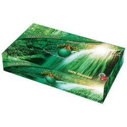 Earthcare2ply Recycled 100 Sheet Facial Tissue