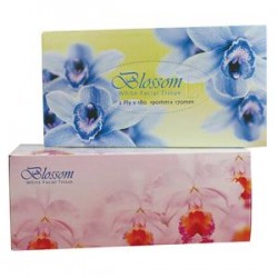 Blossom 2ply 180 Sheet Facial Tissue