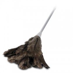 Oates Feather Duster Large