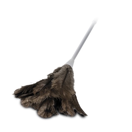 Oates Feather Duster Large
